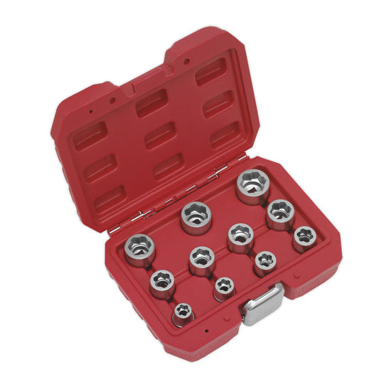 Premier bolt extractor AK7281