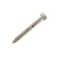 m10 x 100mm coach screw in stainless steel