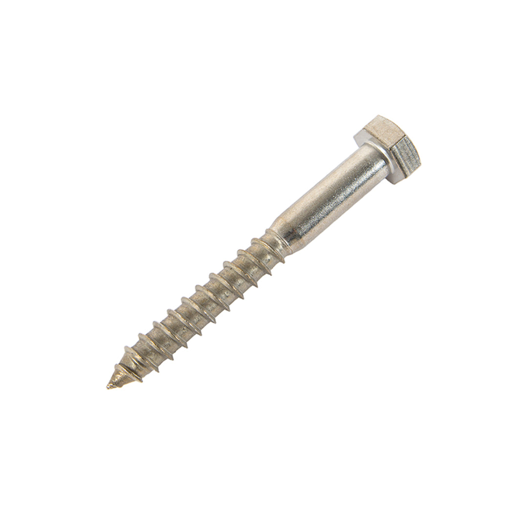 m10 x 100mm coach screw in stainless steel