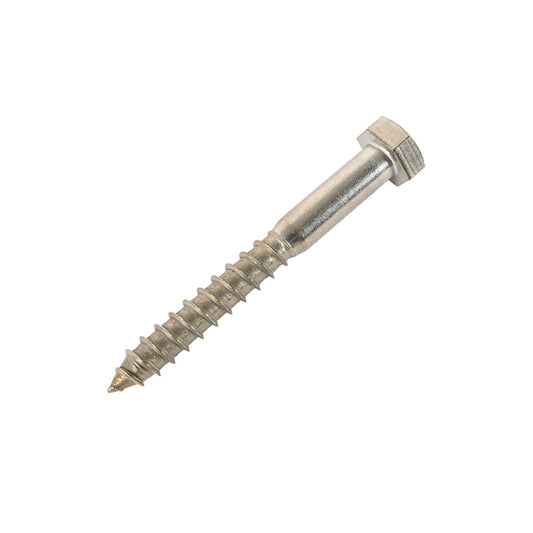m10 x 100mm coach screw in stainless steel