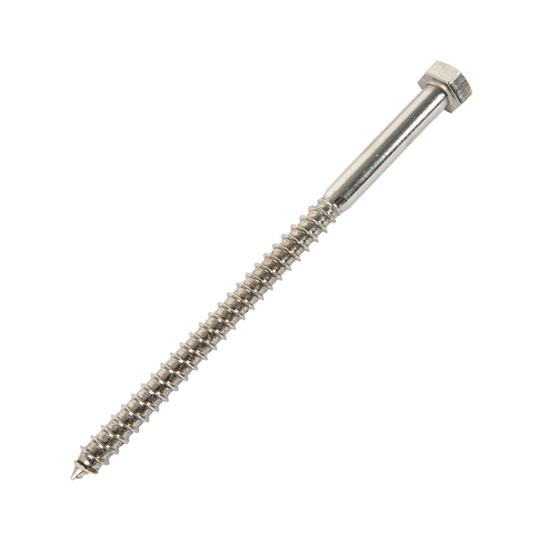 m10 x 180mm coach screw in stainless steel