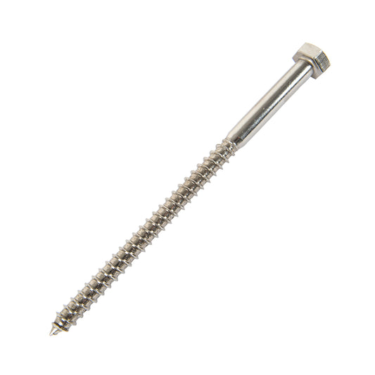 m10 x 180mm coach screw in stainless steel