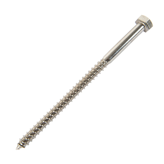 m10 x 200mm coach screw in stainless steel