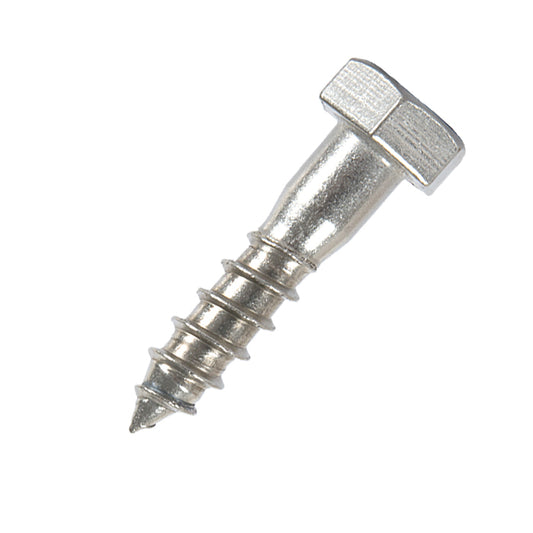 m10x40mm coach screw in stainless steel