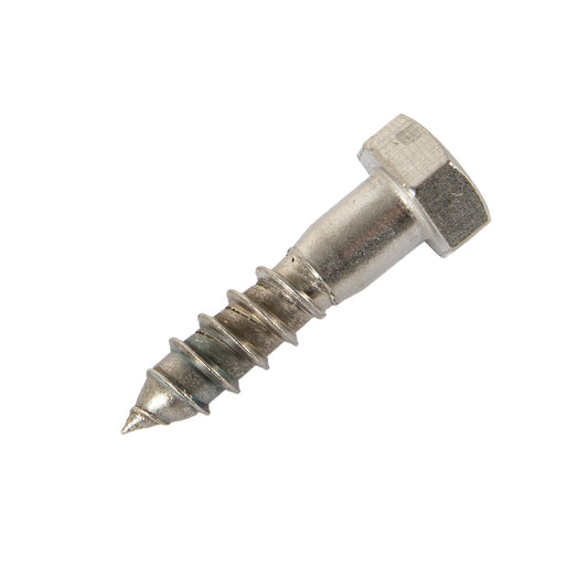m10 x 50mm coach screw in stainless steel