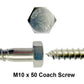 m10 x 50 coach screw close up