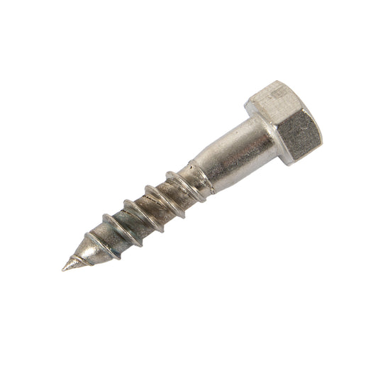 m10 x 60mm coach screw in stainless steel