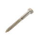 m12 x 100mm coach screw in stainless steel