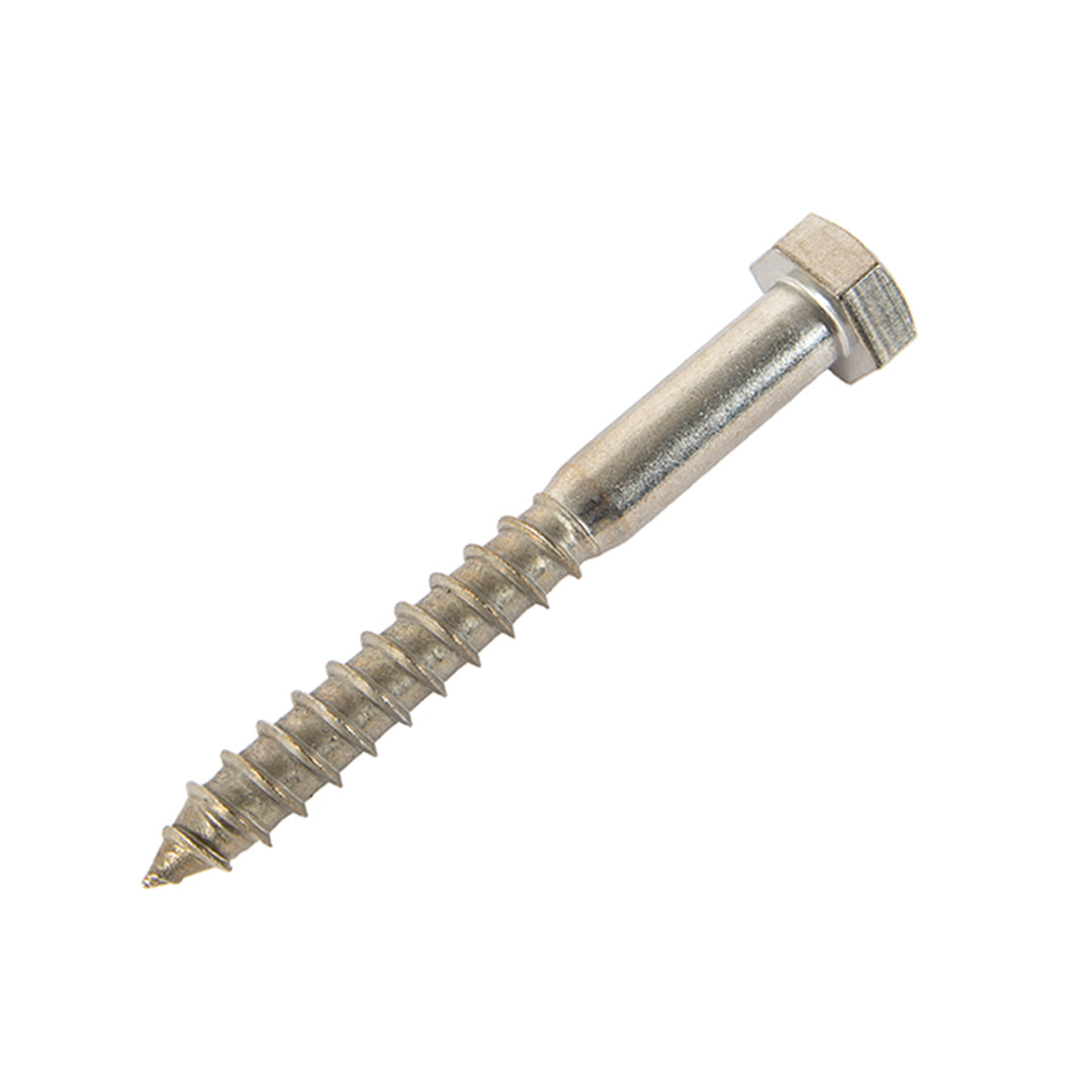 m12 x 100mm coach screw in stainless steel