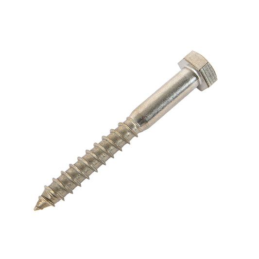 m12 x 100mm coach screw in stainless steel