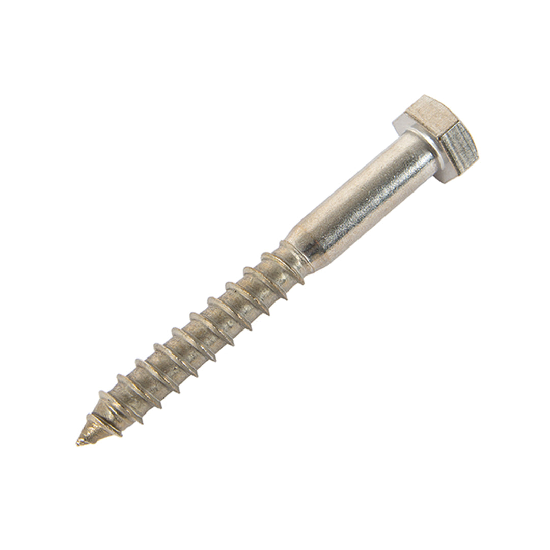 m12 x 110mm coach screw in stainless steel
