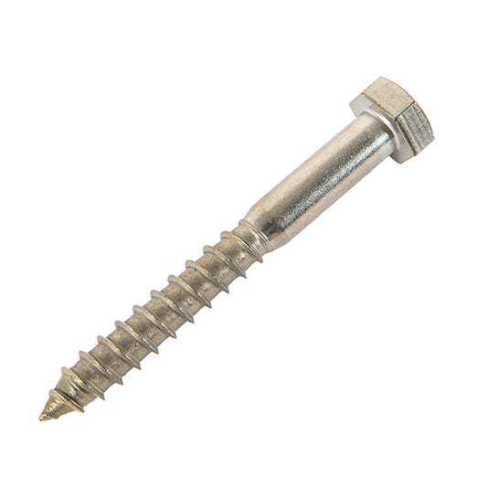 m12 x 120mm coach screw in stainless steel
