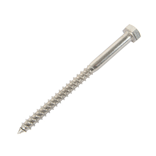 m12 x 140 coach screw in stainless steel