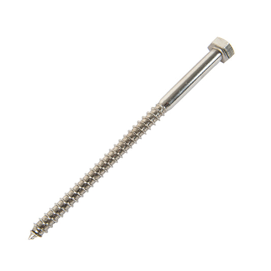 m12 x 160mm stainless steel coach screw
