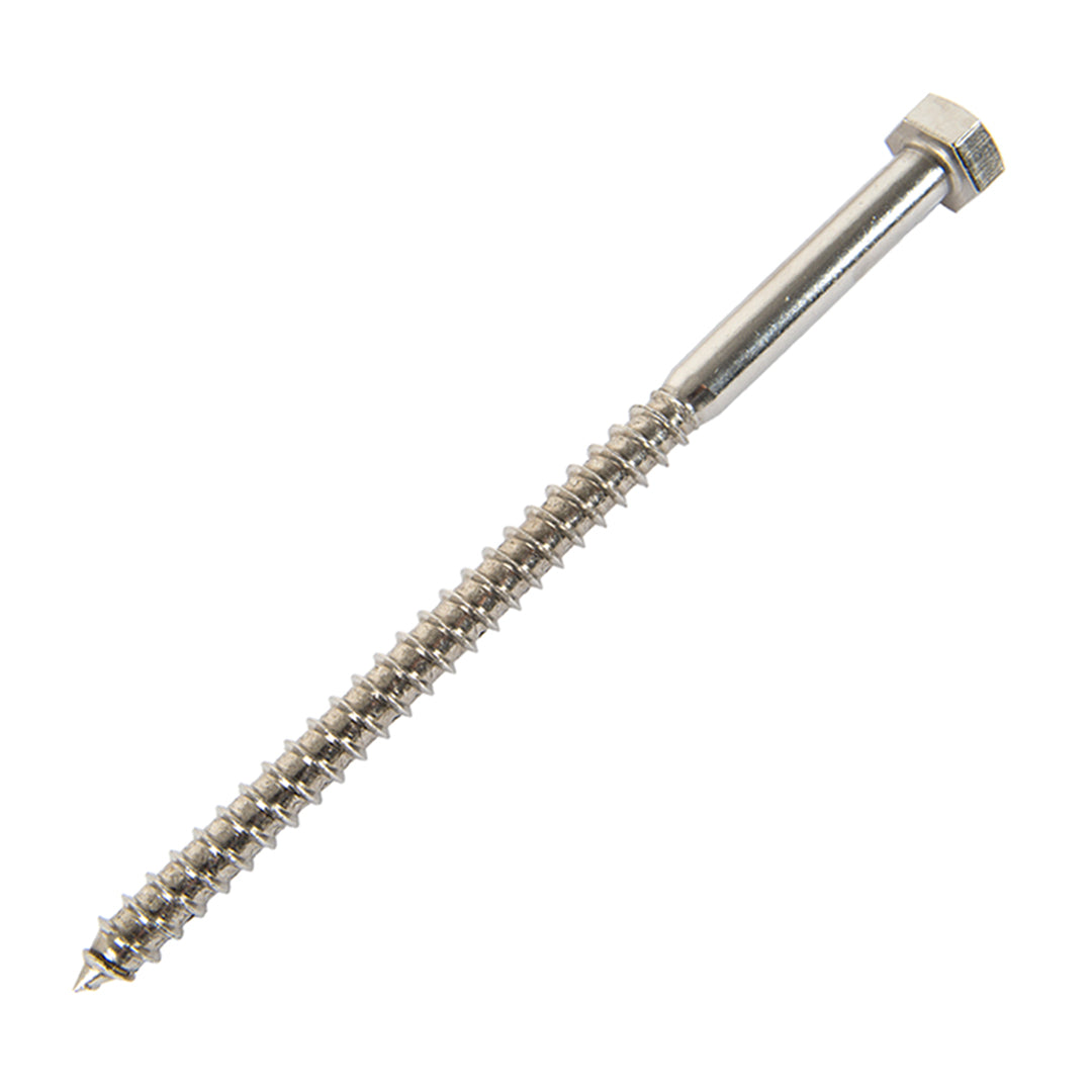 m12 x 200mm coach screw in stainless steel