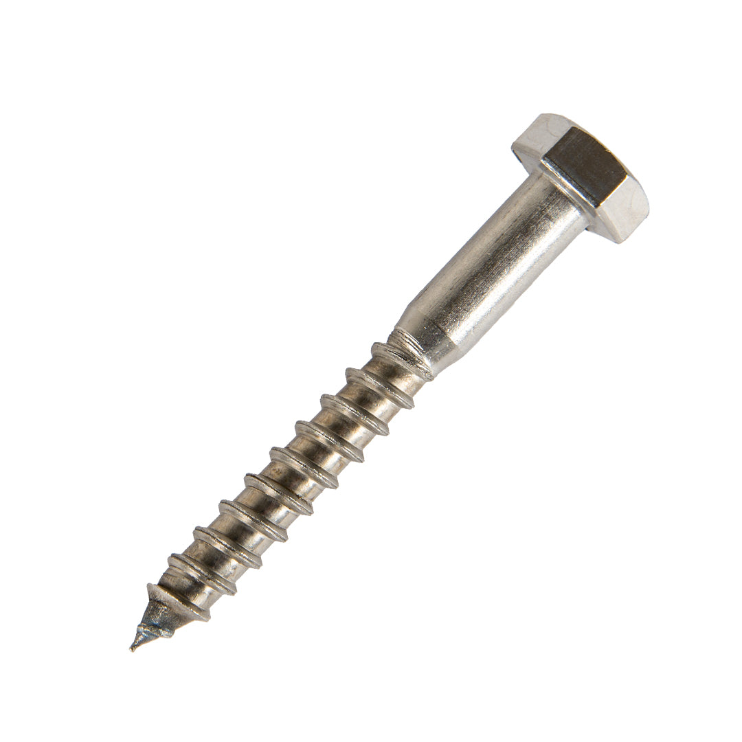 m6 x 50mm coach screw in stainless steel