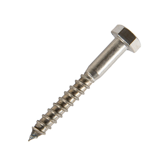 m6 x 50mm coach screw in stainless steel