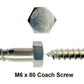 m6 x 80 coach screw in close up