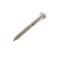 m8 x 60mm coach screw in stainless steel