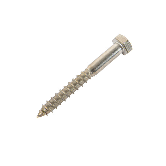 m8 x 60mm coach screw in stainless steel