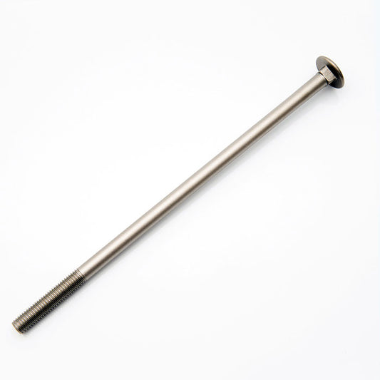 m10 x 220 coach bolt in stainless