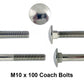 m10 x 100 Coach Bolt or carriage bolt  close up