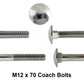 m12 x 70 coach bolt or carriage bolt close up