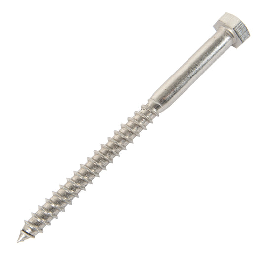 m16 x 300mm coach screw